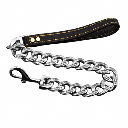 Stainless Steel Chain Leash